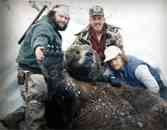 Kodiak Brown Bear hunting